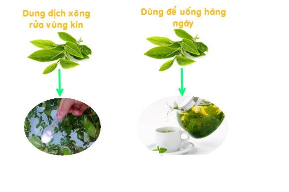 meo-vat-dan-gian-chua-benh-viem-phu-khoa-cho-chi-em-hieu-qua