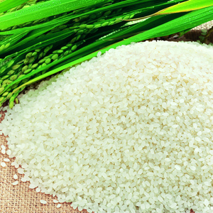 Mẹo điều trị giời leo đơn giản nhất